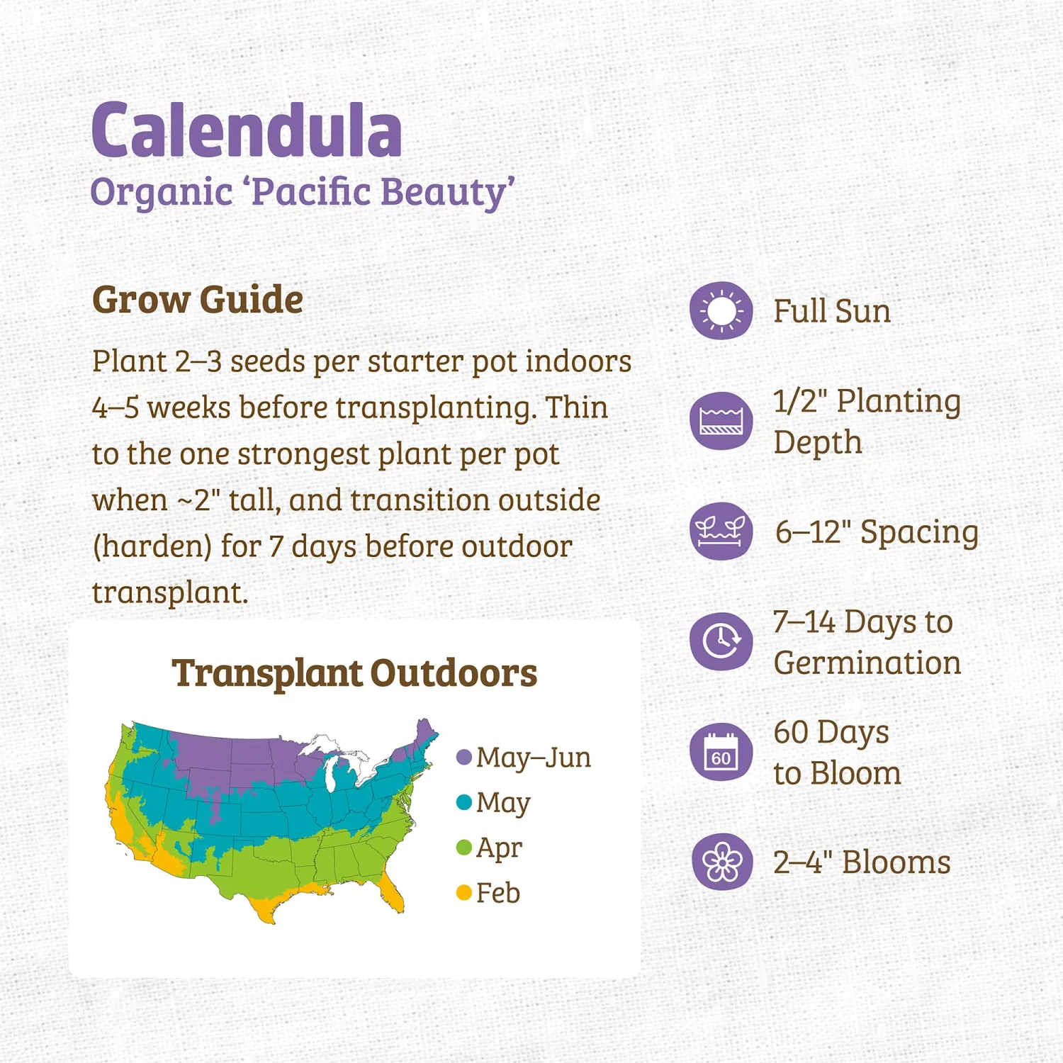 Back to the Roots - 100% Organic Seed Packet - Calendula 'Pacific Beauty' 300mg