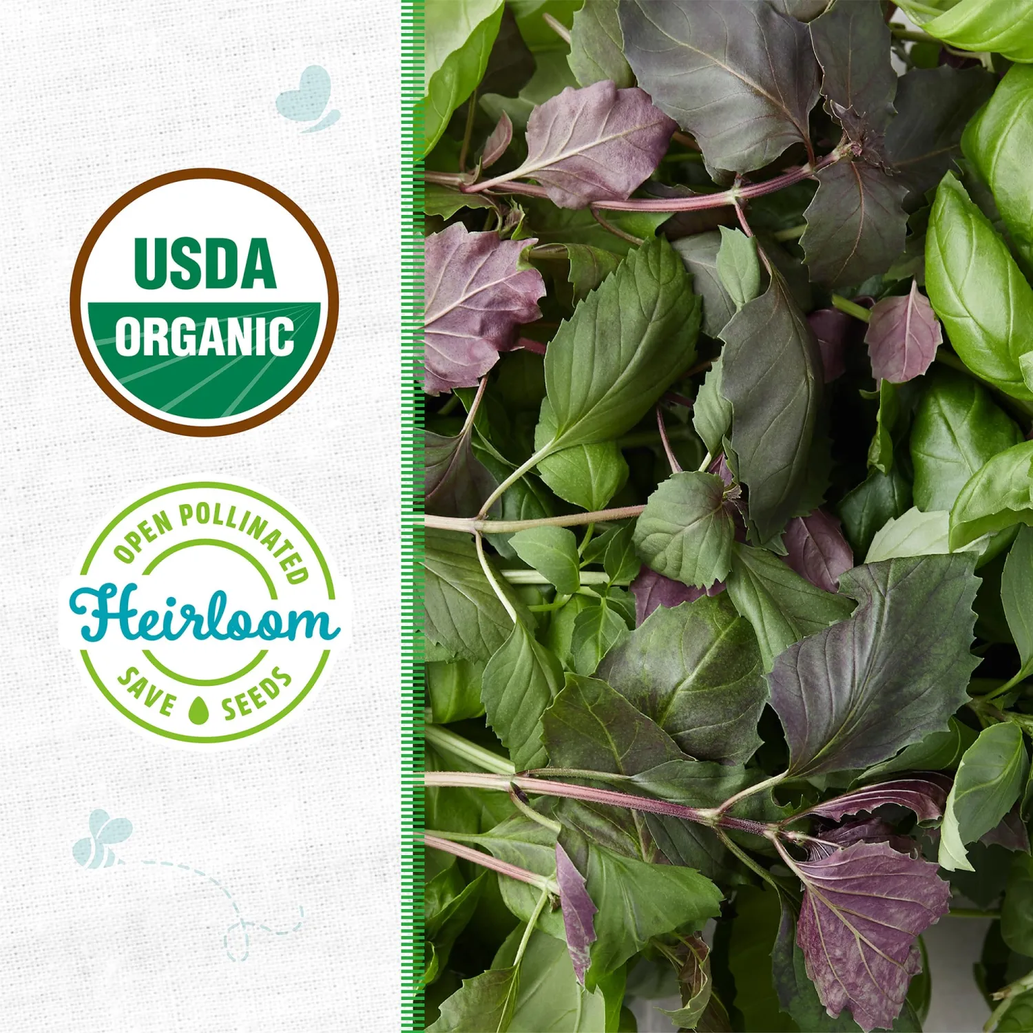 Seed Packet - Basil 'Culinary Blend' 300mg
