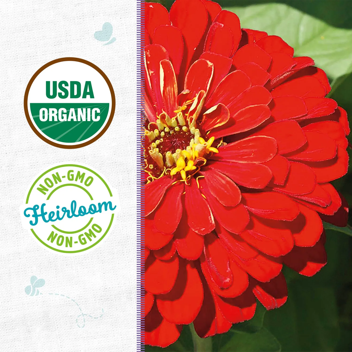 Back to the Roots - 100% Organic Seed Packet - Zinnia 'Red Beauty' 210mg
