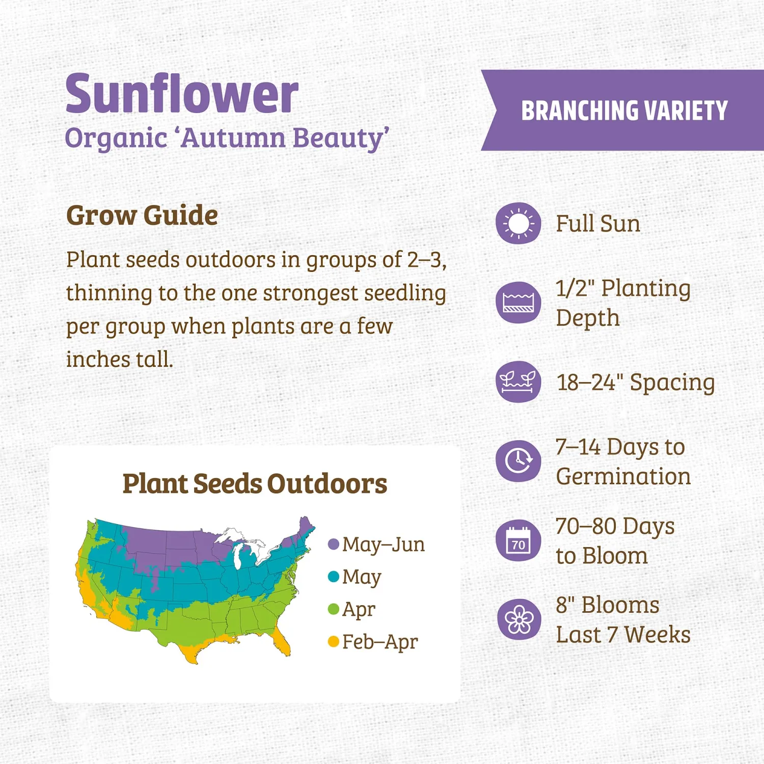 Seed Packet - Sunflower 'Autumn Beauty' 700mg