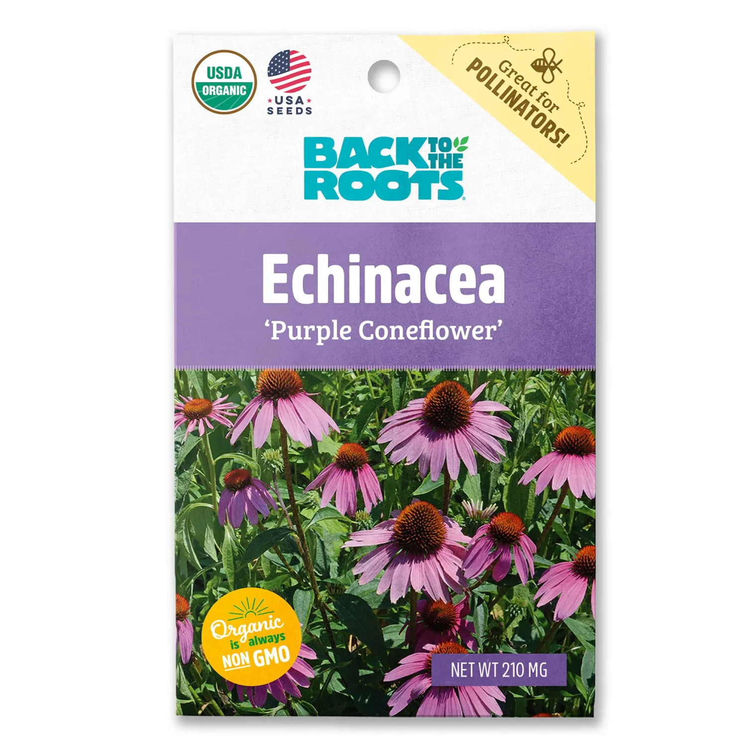 Back to the Roots - 100% Organic Seed Packet - Echinacea 'Purple Coneflower' 210mg