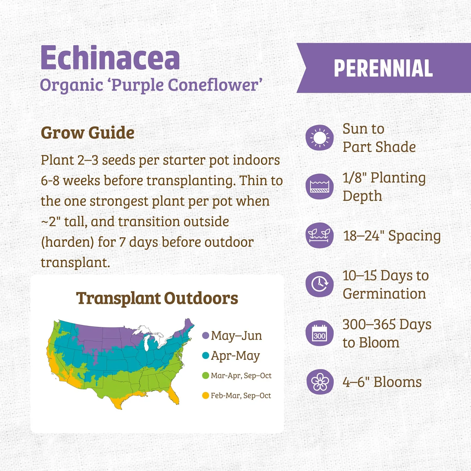 Back to the Roots - 100% Organic Seed Packet - Echinacea 'Purple Coneflower' 210mg