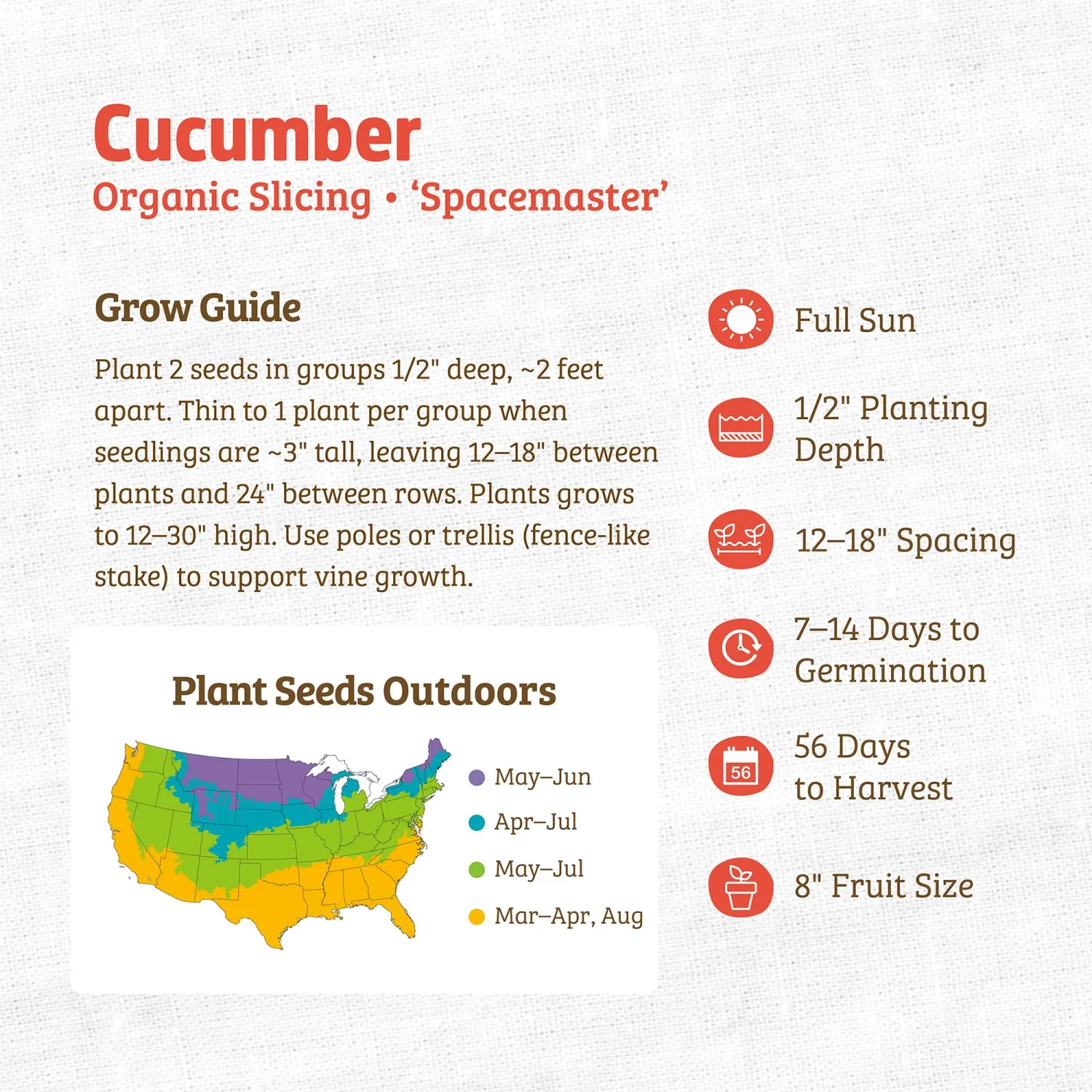 Seed Packet - Cucumber 'Spacemaster' 1.5g