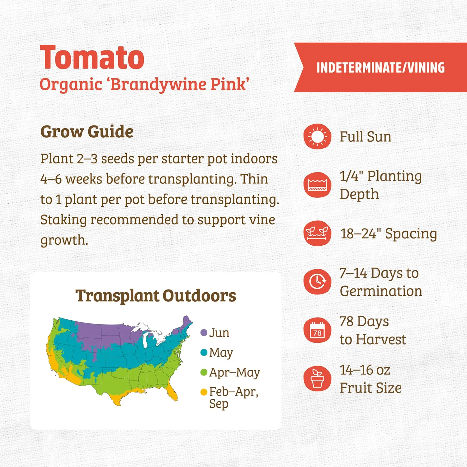 Back to the Roots - 100% Organic Seed Packet - Tomato 'Brandywine Pink' 140mg
