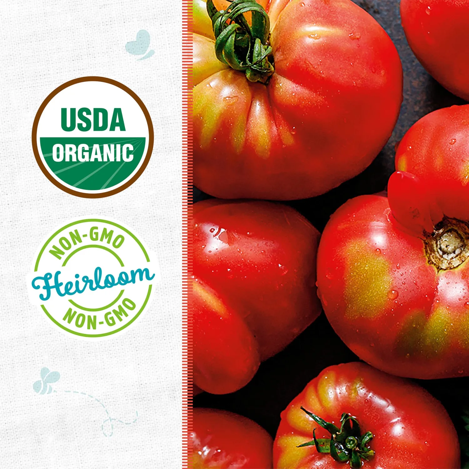 Back to the Roots - 100% Organic Seed Packet - Tomato 'Brandywine Pink' 140mg