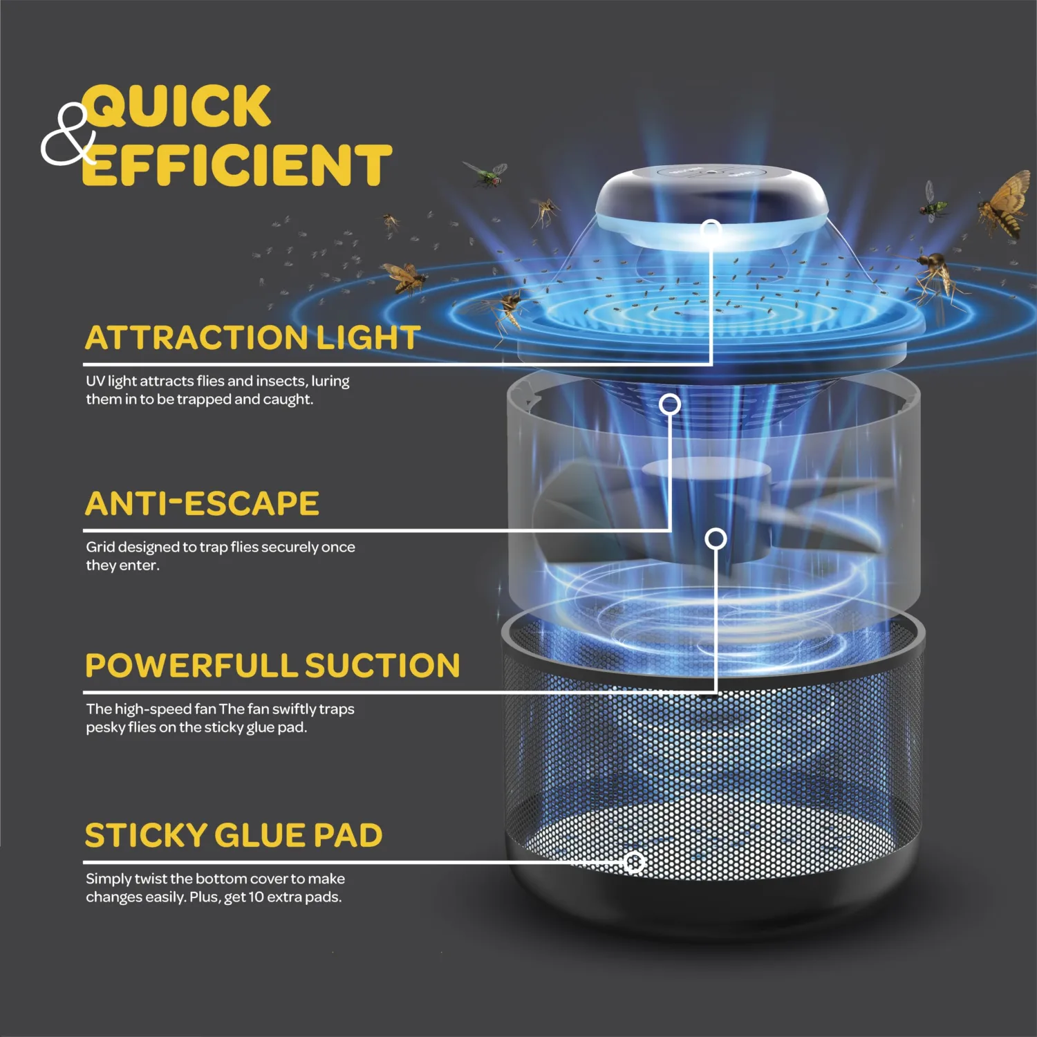 Fruit Fly Traps for Indoors, Captures Fruit Flies, Moths, Gnats, Mosquito Trap Fly Trap Indoor with Attractive UV Light & Suction W/Energy Sensor, Odor/Mess-Free. Protect 700 S (12 Refills)