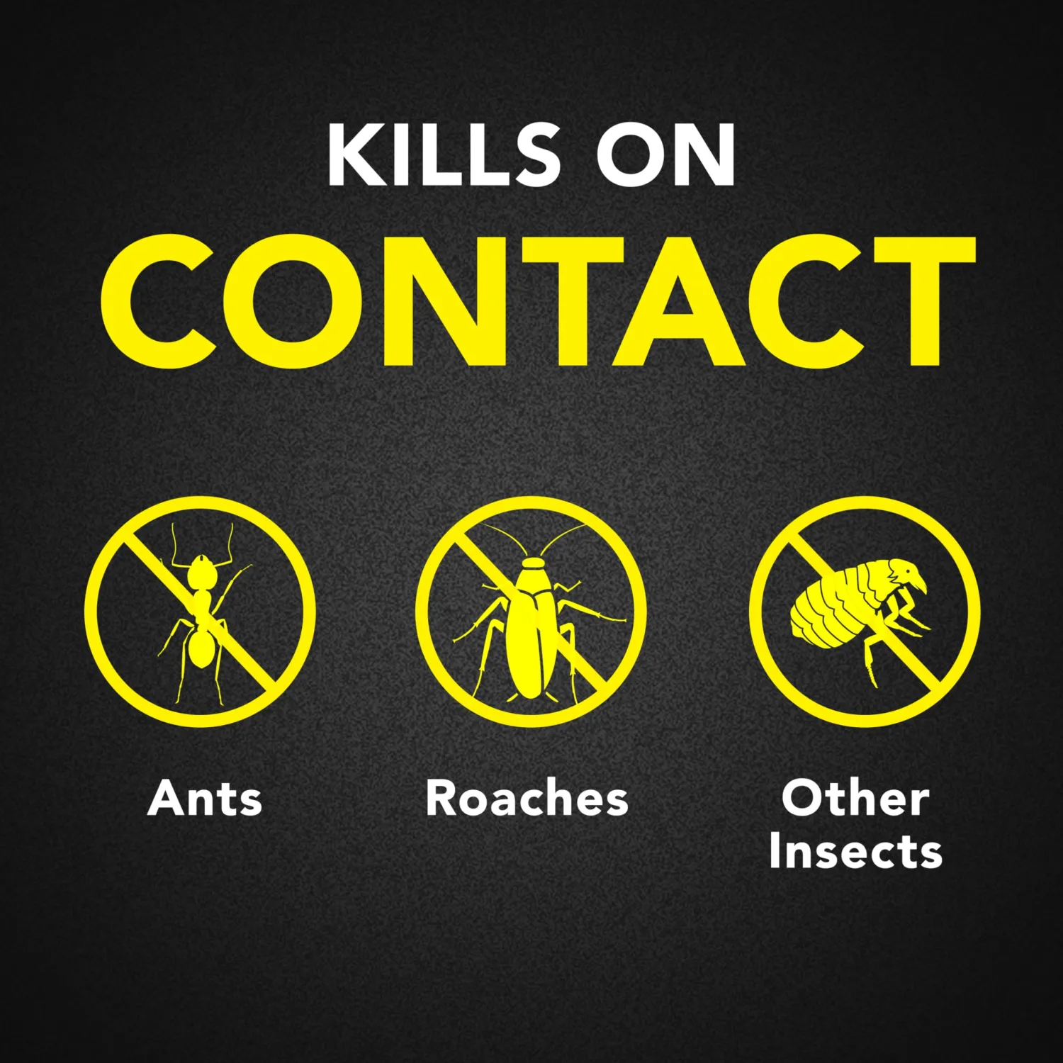 Raid Ant & Roach Killer 26, Fragrance Free Bug Killer for Home Use, Kills Bugs on Contact, 17.5 Oz, 2 Count