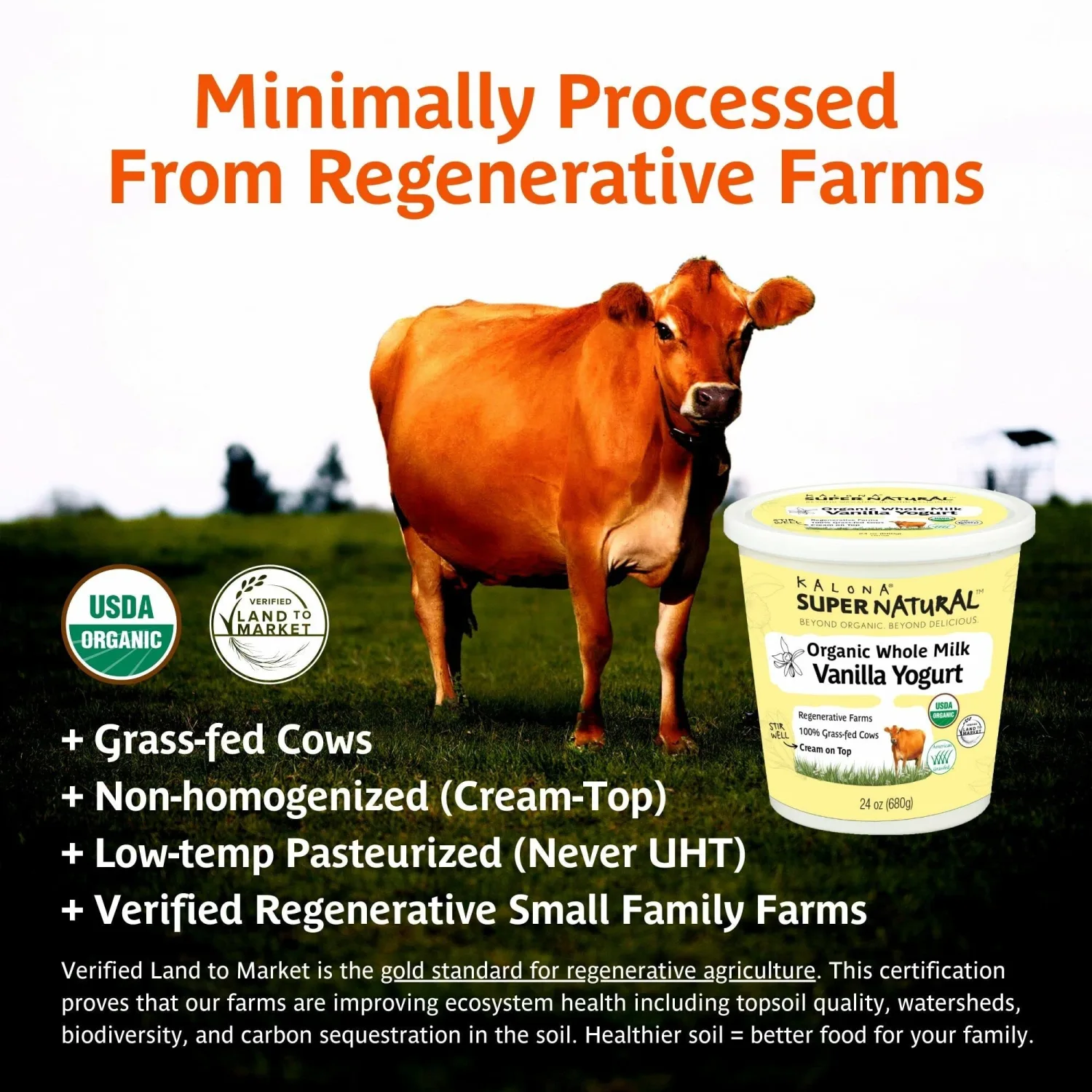 Kalona SuperNatural Organic Whole Milk Vanilla Yogurt, 24oz