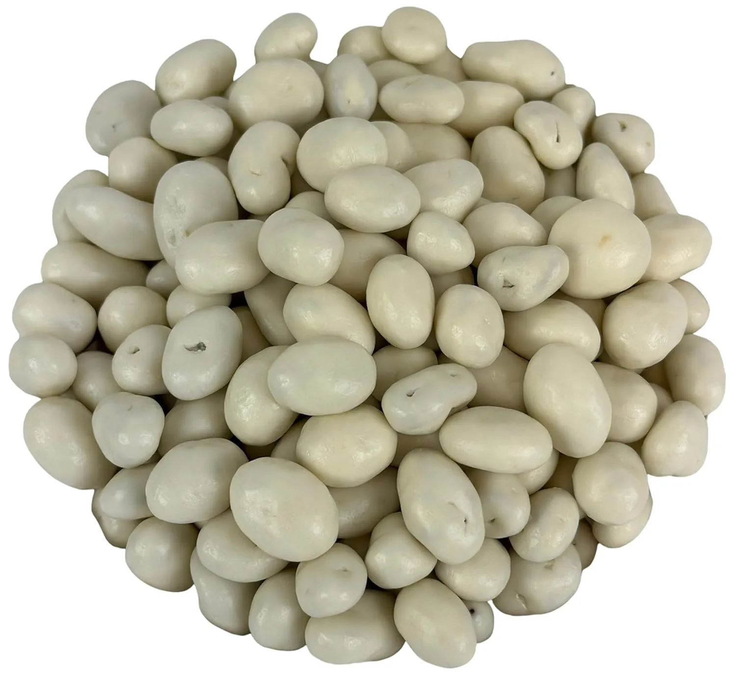 No Sugar Added Yogurt Covered Raisins, 1 Pound
