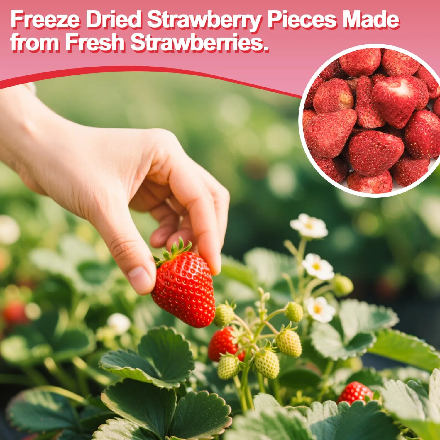 Freeze Dried Strawberries, 3.52OZ/100g Whole Freeze Dried Fruit, Whole Dehydrated Strawberry for Milk, Milkshakes, Breakfast, Cereal Bowls Salad, Ice Cream, Freeze Dried Snacks