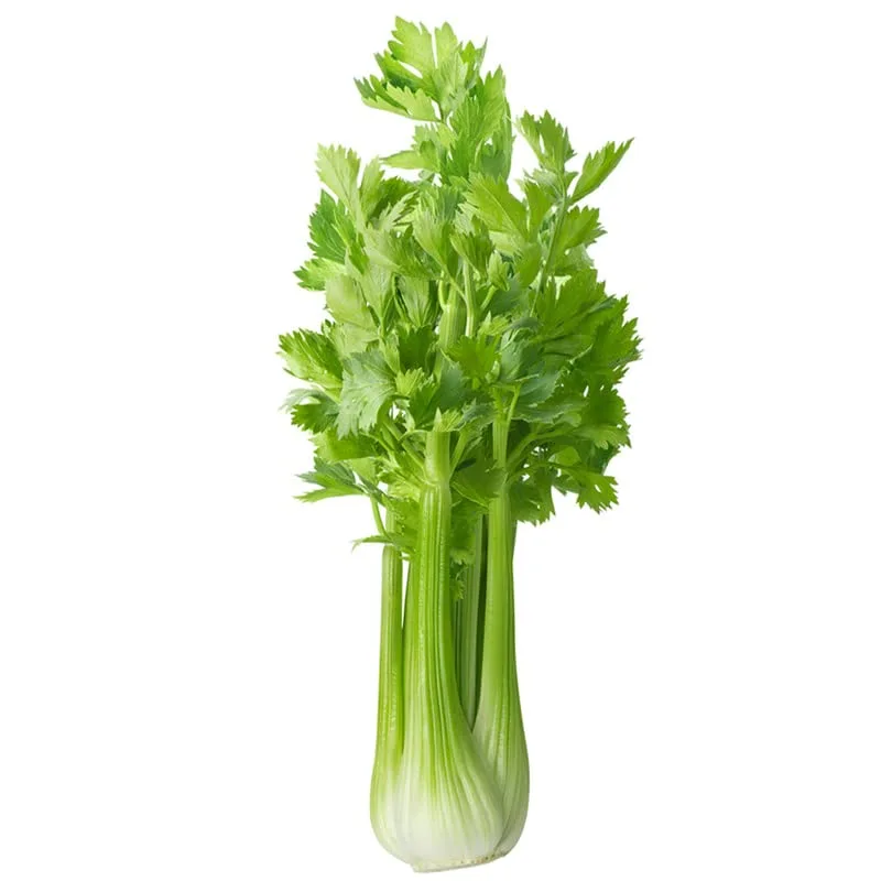 Celery-Tall Utah 50/70 (1000 Seeds)