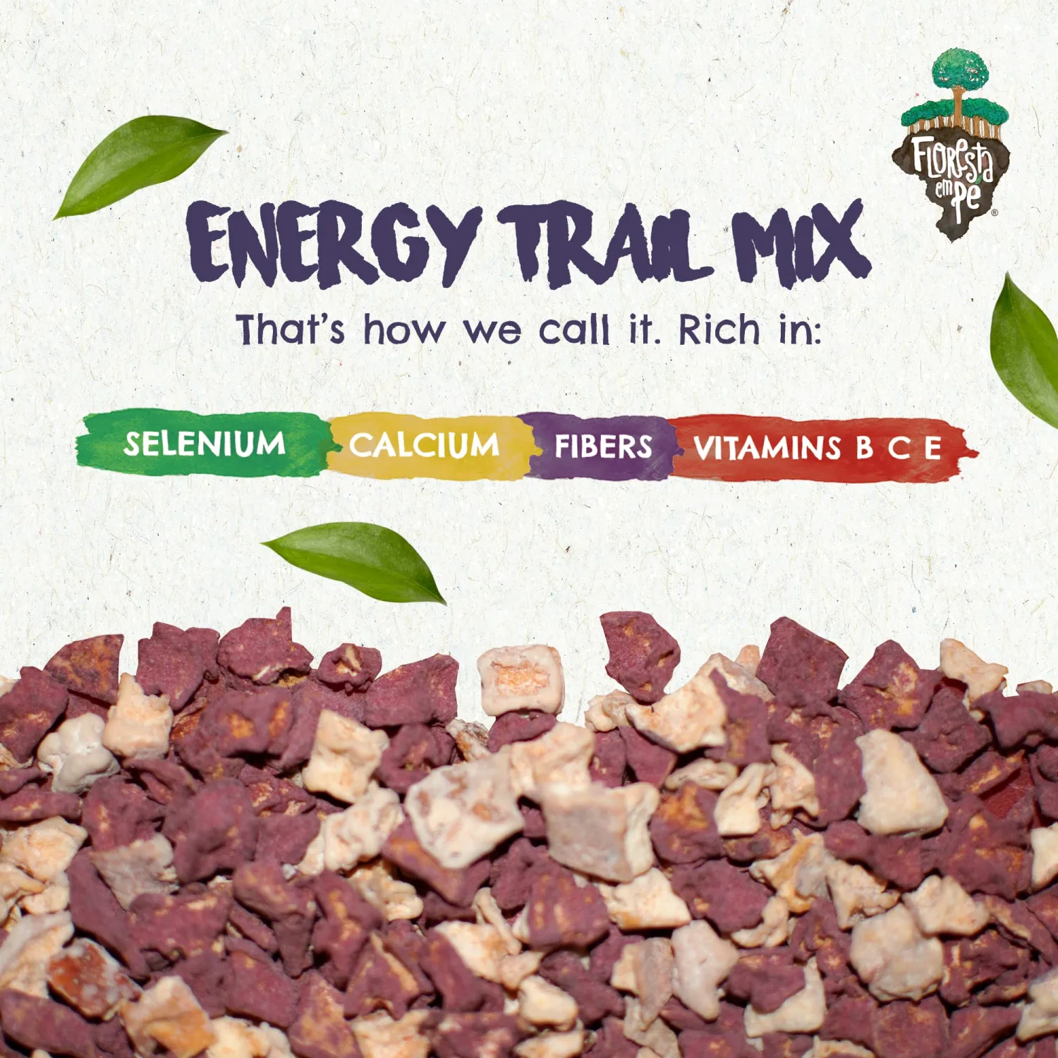FLORESTA EM PÉ - Açai Trail Mix (7oz) - The True Organic Brazil Nuts Roasted + Açai Fruit Nibs + Cupuaçu Fruit Nibs | Nutrient-rich Combination | Non-Gmo | Fresh | Vegan | Gluten Free - Premium Snack Mix by Floresta em Pé