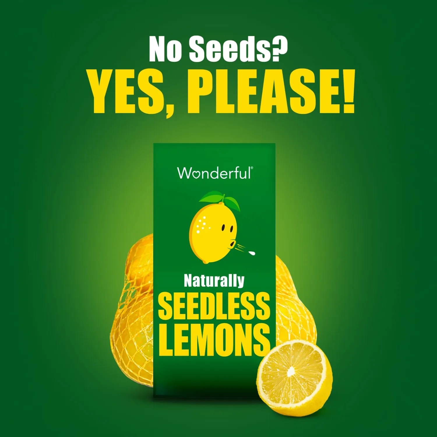 Wonderful Seedless Lemons 1lb Bag, 16 Oz