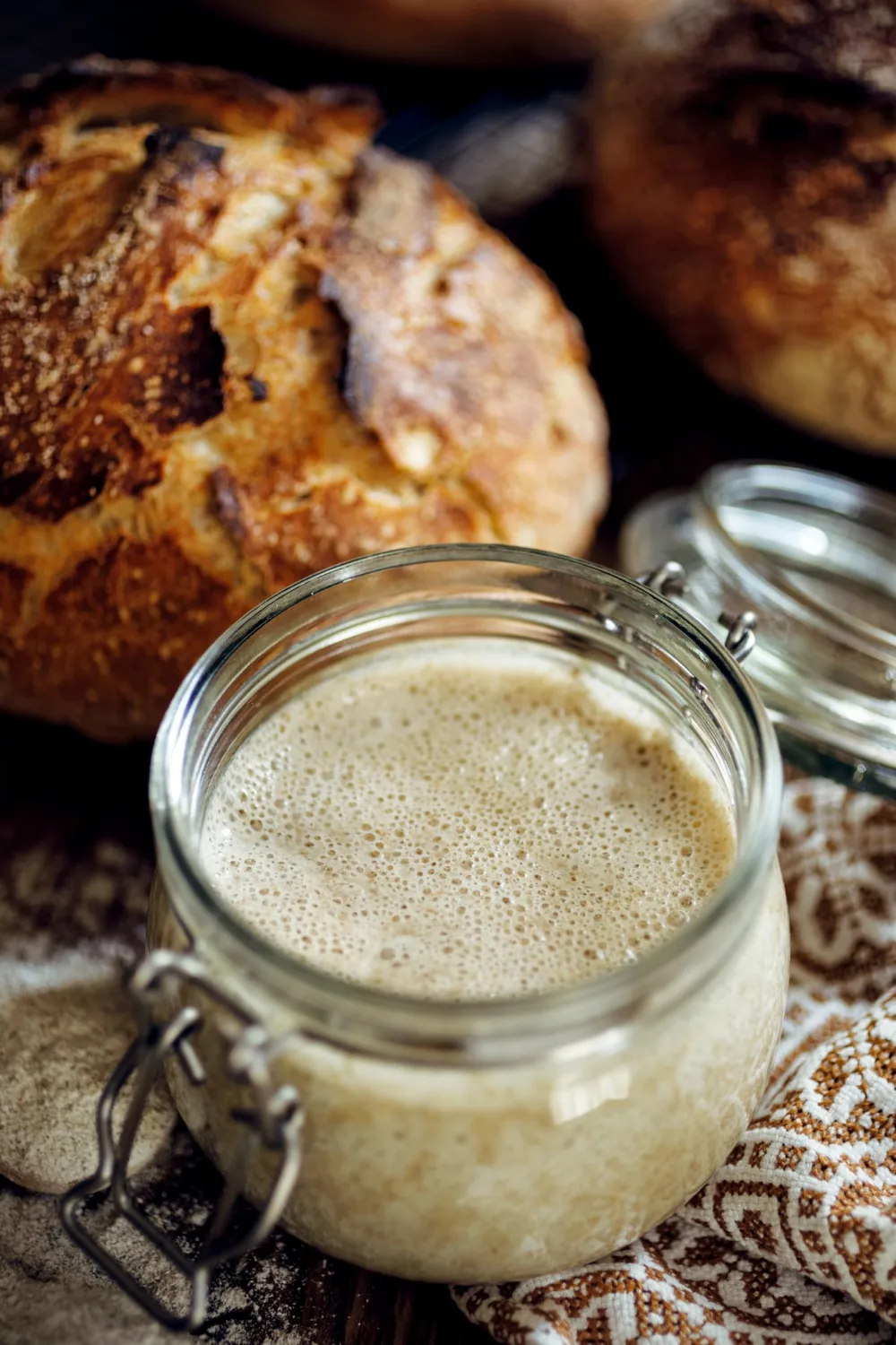 German Rye Sourdough - Dried Rye Sourdough for Delicious Homemade Artisan Bread - Heirloom Rye Sourdough for a Smooth, Elastic Dough - Net Weight: 1.76oz