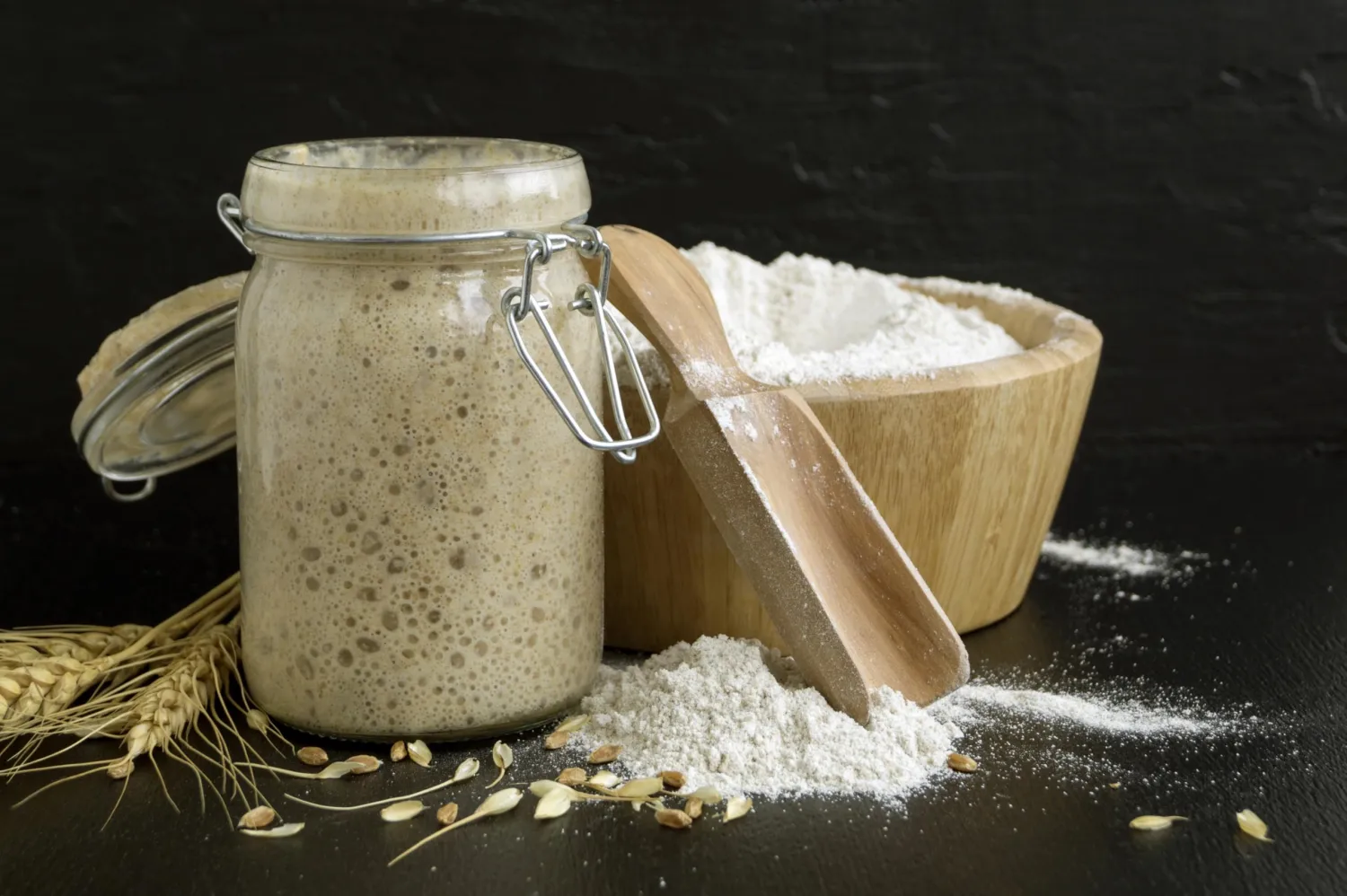 German Rye Sourdough - Dried Rye Sourdough for Delicious Homemade Artisan Bread - Heirloom Rye Sourdough for a Smooth, Elastic Dough - Net Weight: 1.76oz