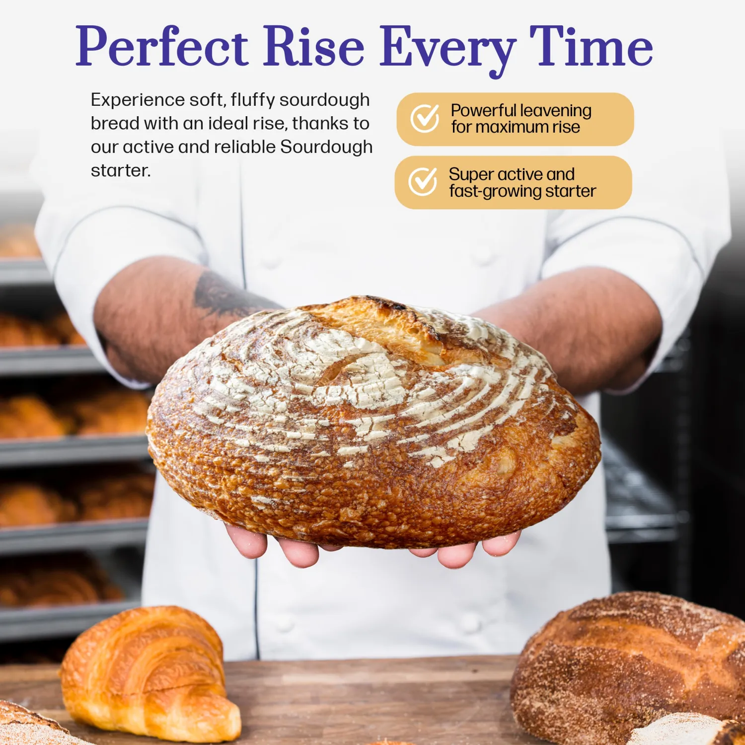 San Francisco Sourdough Starter - 100+ Year Old Dehydrated Heirloom Style Sourdough Starter for Sourdough Bread, Pizza, Buns, Pancakes, Muffins | Easy to follow instructions. By Captain Sourpants
