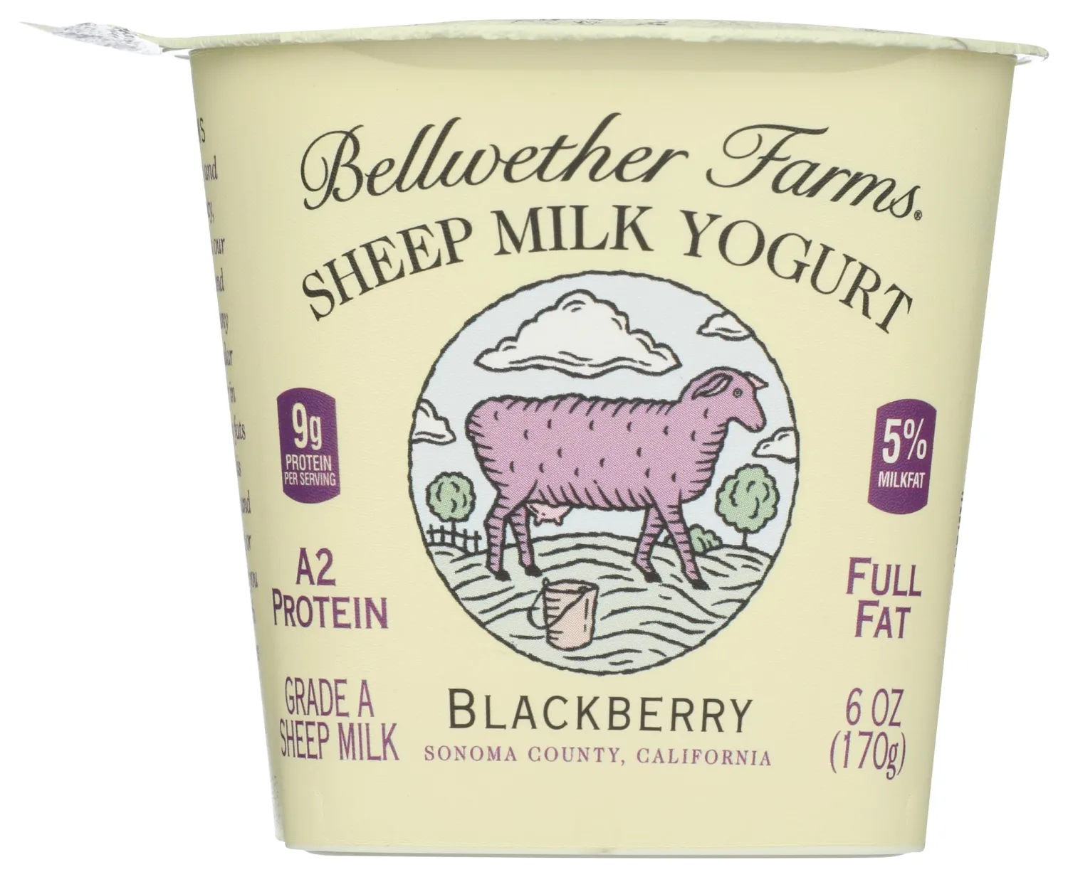 Bellwether Farms Blackberry Sheep Milk Yogurt, 6 Oz