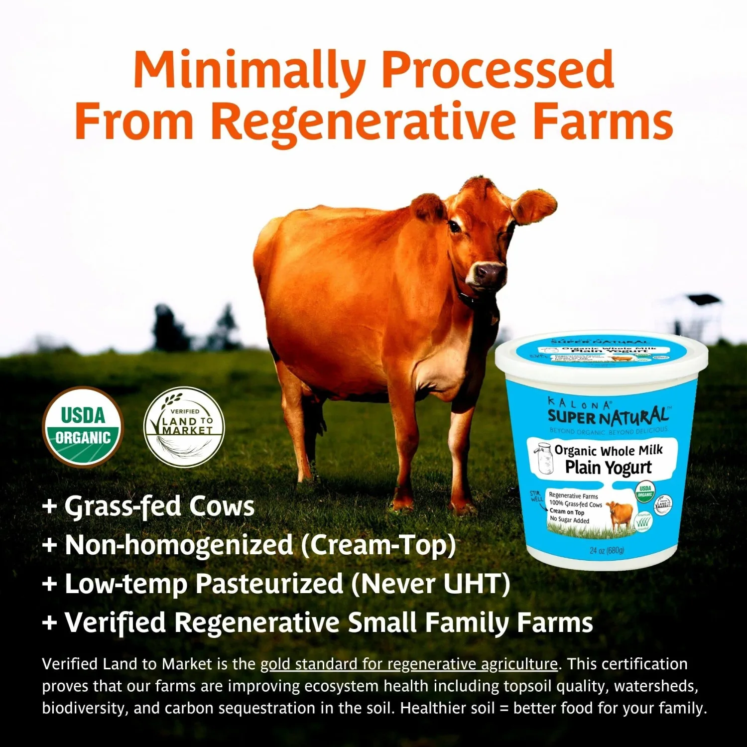 Kalona SuperNatural Organic Whole Milk Plain Yogurt, 24 Ounce