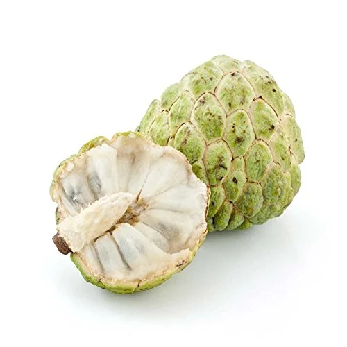 Sugar Apple 10 Seeds, Custard Apple, Annona squamosa, Delicious Sweet Fruits