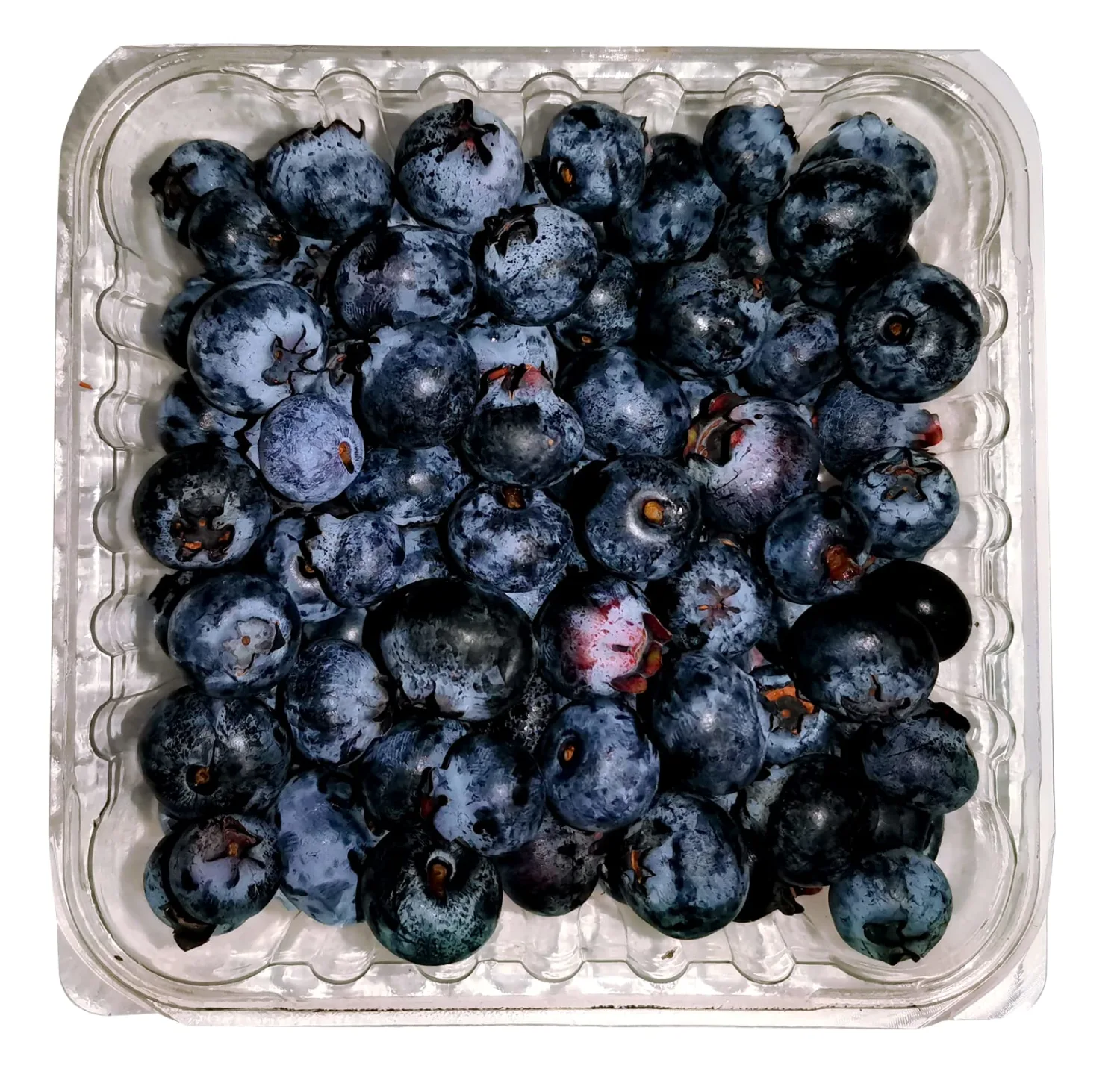 Blueberries Conventional, 6 Ounce
