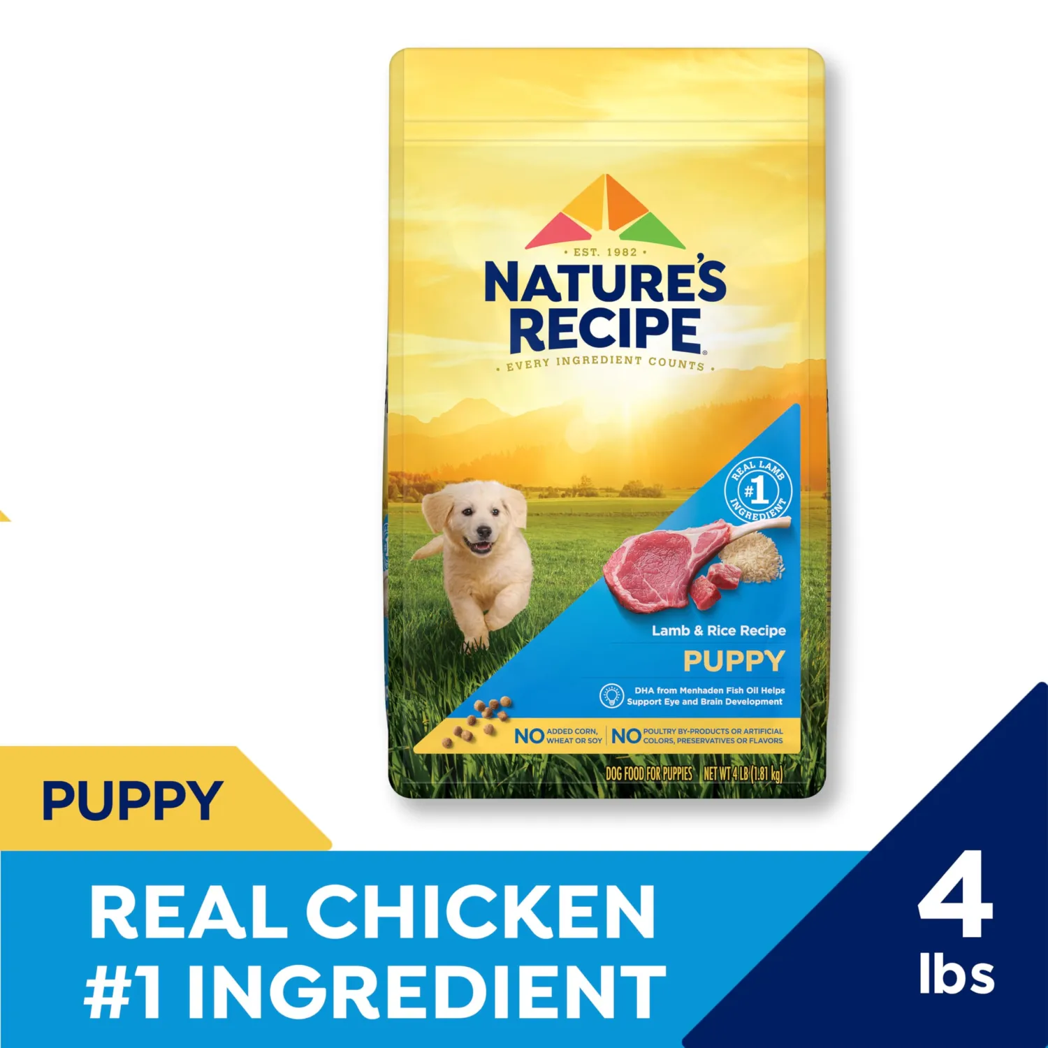 Nature′s Recipe Grain Free Puppy Chicken, Sweet Potato & Pumpkin Recipe Dry Dog Food, 4 lb. Bag