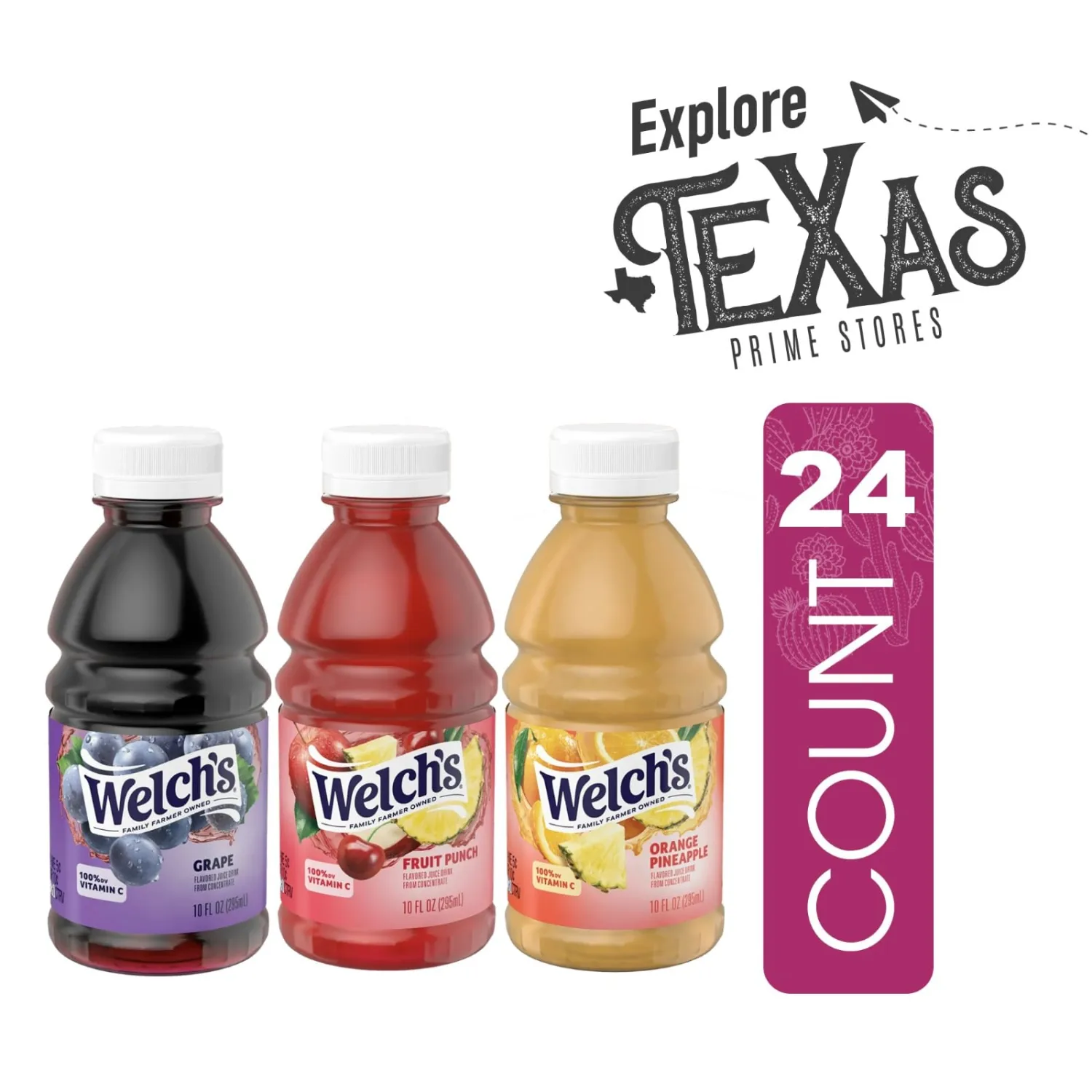 Welch's - Lavinia Essentials Bundle: 24- Pack of Collection Fruit Juice Drink, 10 fl oz On-the-Go Plastic Bottle + 1 Utility Prop.