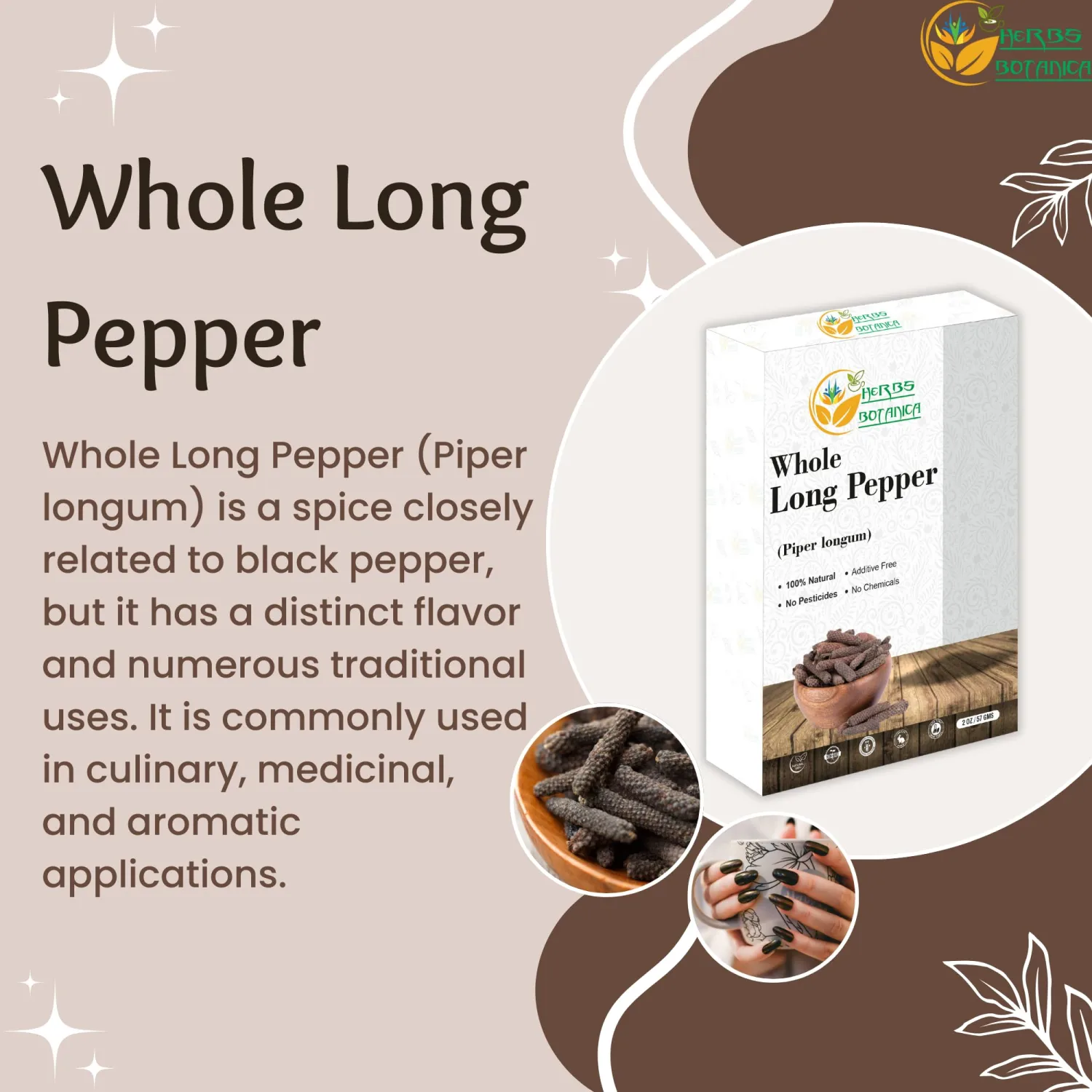 Herbs Botanica Long Pepper Whole – Premium Indian Long Peppercorns (Piper Longum) for Authentic Flavor in Culinary & Ayurvedic Use, Perfect for Grinding, Spice Blends, and Cooking – 2 oz