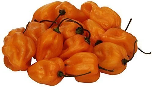 Pepper Habanero - 1 Each