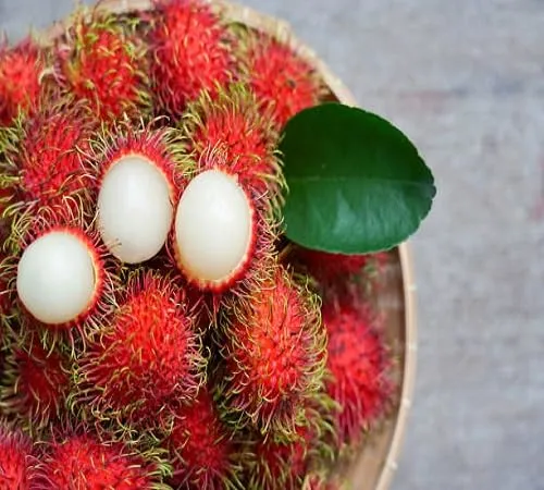 New 20pcs red Rambutan Fruit Seeds.