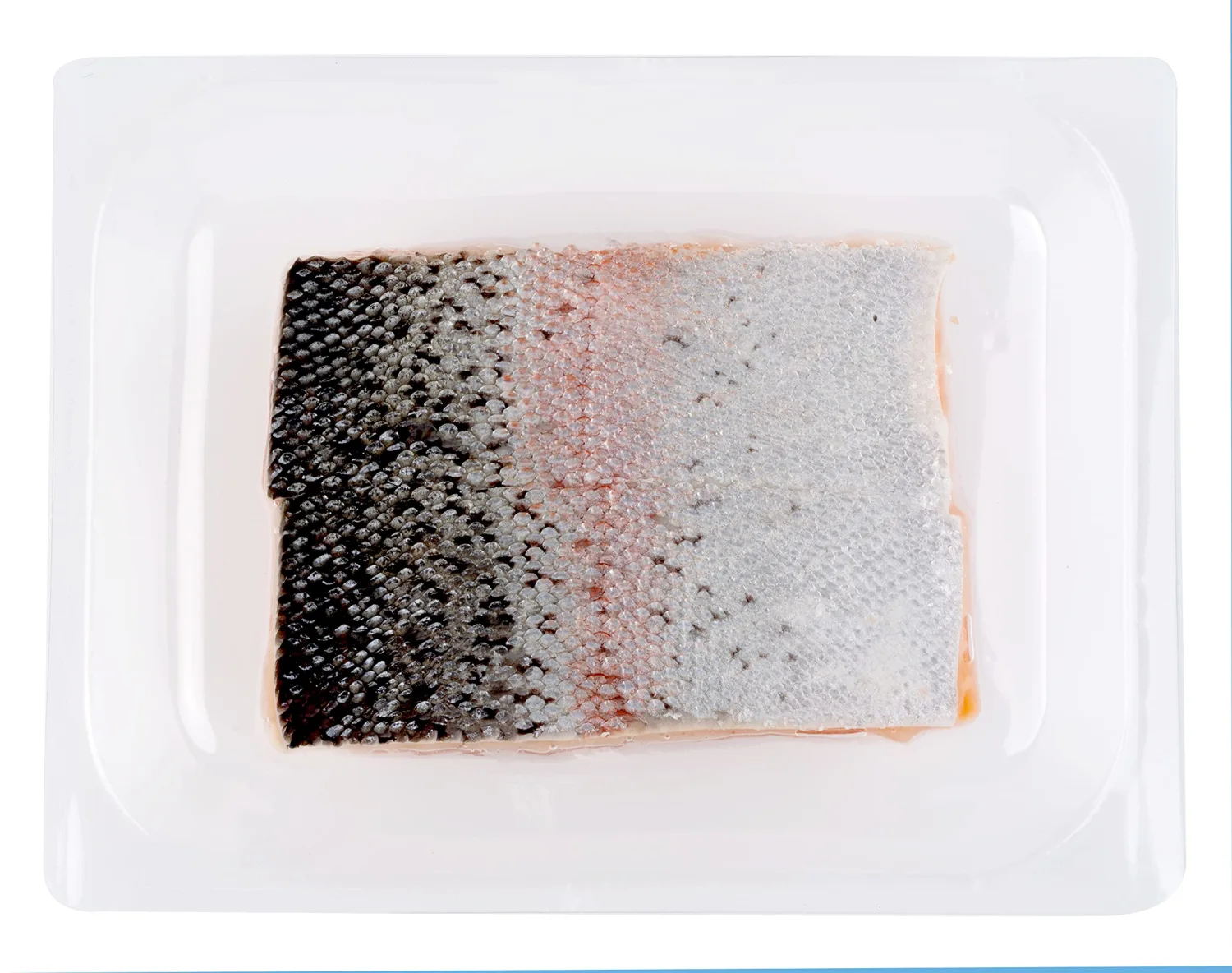 Farm Raised Steelhead Trout Portions, 10 Oz