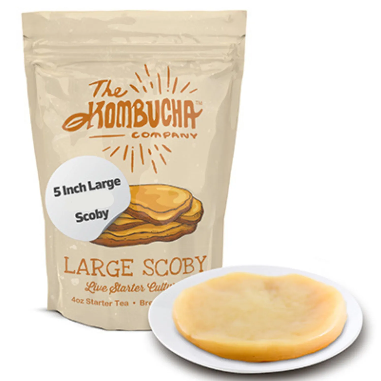 Kombucha SCOBY | Large size | 5-Inch SCOBY Mother for Easy Brewing of Drinks | Includes 4 OZ of Kombucha Starter Tea Liquid | By The Kombucha Company