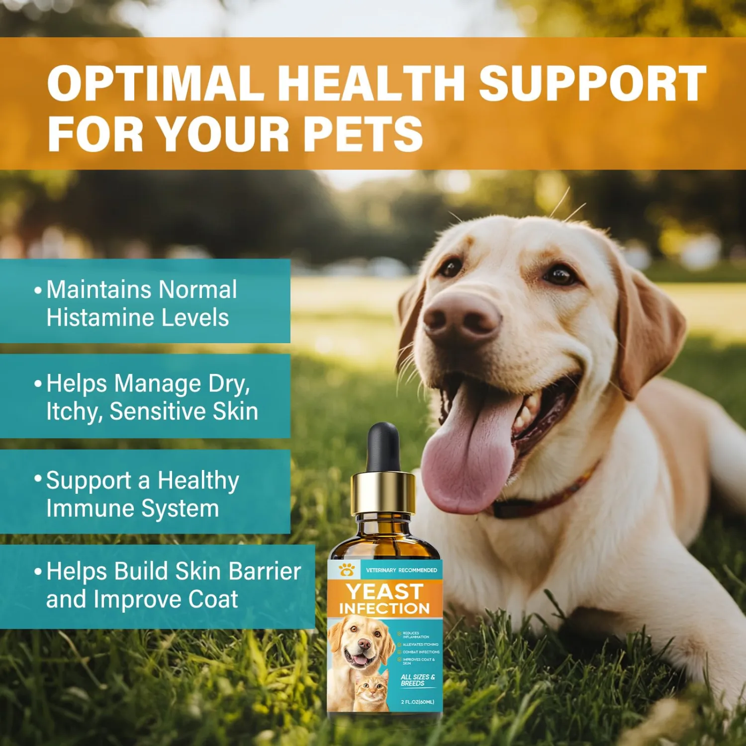 Yeast Infection Treatment for Dogs, Gentle Dog Yeast Infection Relief Itchy Skin & Ear Treatment, Effectively Soothing Irritation & Itching Discomfort for Dogs