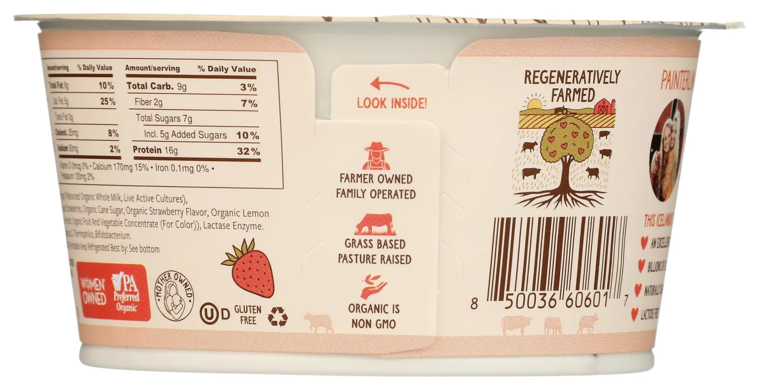 Painterland Sisters Organic Strawberry Skyr Yogurt, 5.3 OZ