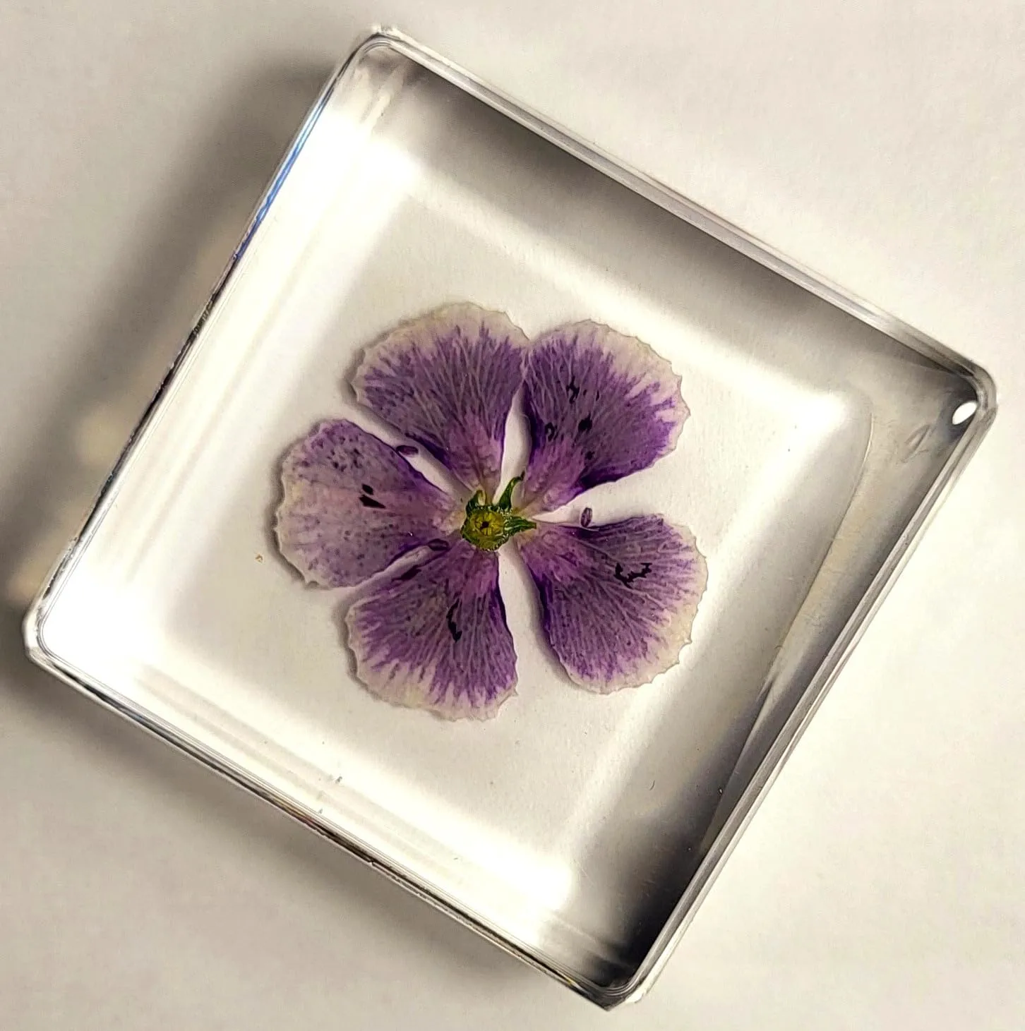 38mm Real Purple Geranium Flower in Crystal Clear Lucite Resin Specimen Botanist Herb Herbarium Crafts Collection for Botany Science Education & Desk Ornament Display Small Paperweight