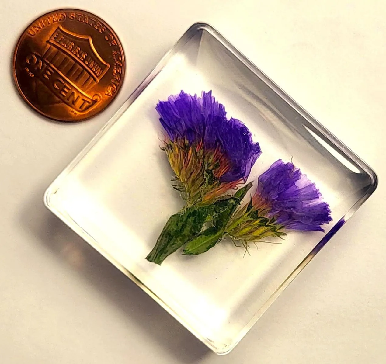 38mm Real Purple Lavender Flower in Crystal Clear Lucite Resin Specimen Botanist Herb Herbarium Lavandula Collection for Botany Science Education & Desk Ornament Display Small Paperweight