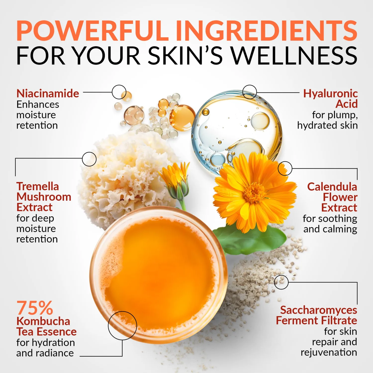 Kombucha Tea Essence Face Toner - Fermented Black Tea Hydrating Essence Skincare Gel Cream - Ceramide Regulation Barrier Serum + Hyaluronic Acid & Niacinamide