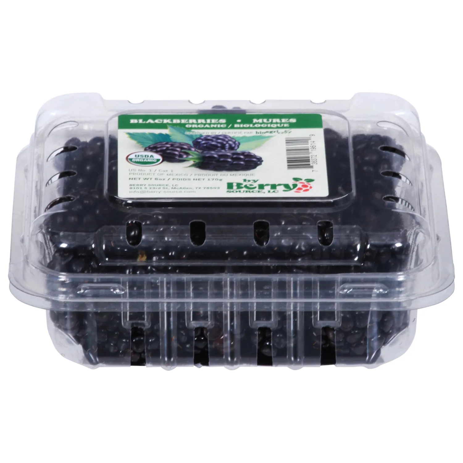 PRODUCE Organic Blackberries, 1 EA