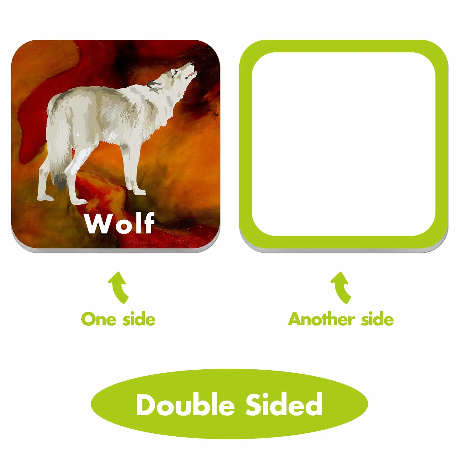 36 Pair Animal Matching Game Flash Cards Erasable (Each Measures 2” X 2”)