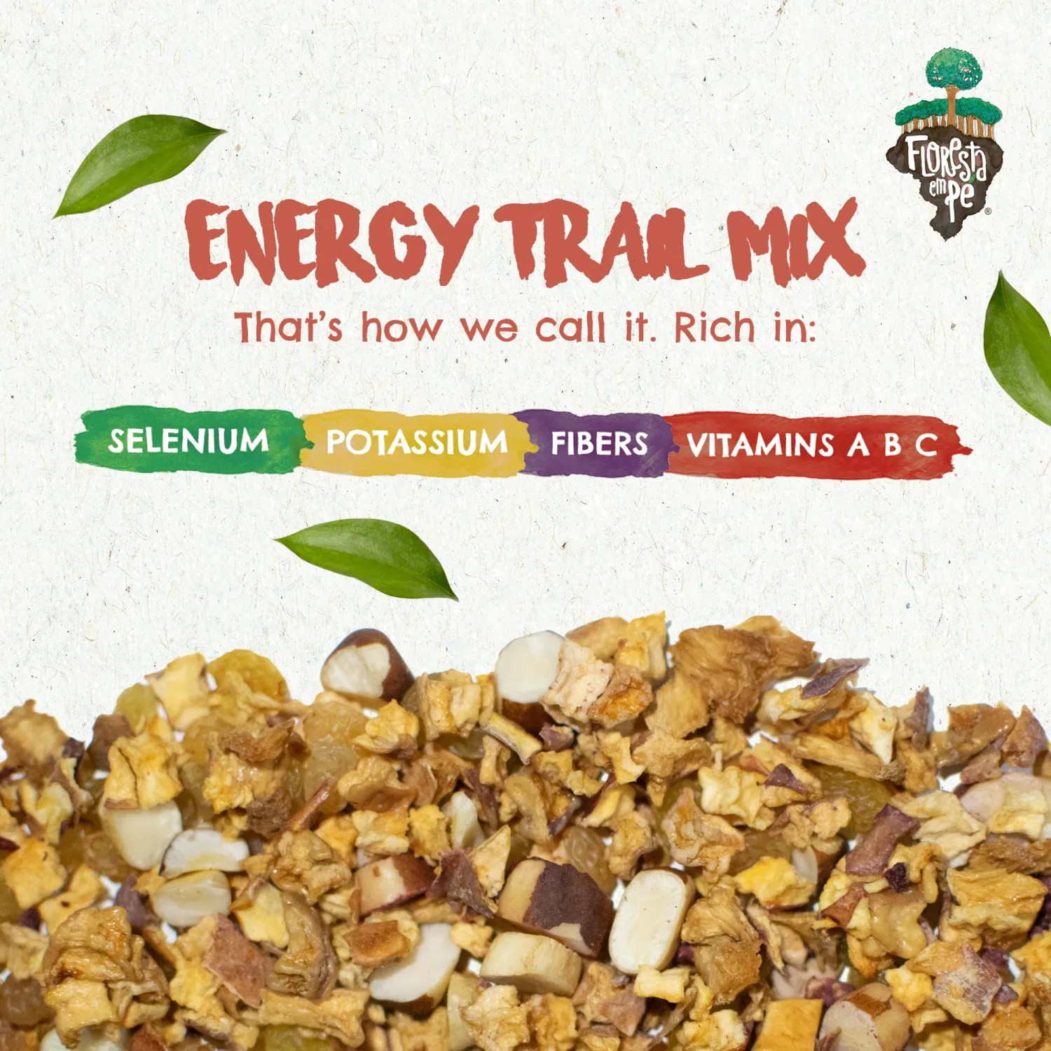 Tropical Trail Mix (7oz) - The True Organic Brazil Nuts Roasted + Dried Apple + Dried White Raisins + Dried Pineapple + Passion Fruit Fruit Nibs | Nutrient-rich Combination | Non-Gmo | Fresh | Vegan | Gluten Free - Premium Snack Mix by Floresta em Pé