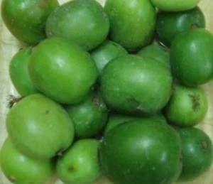 Palm Beach Medicinal Herbs - Baby Kiwi (Actinidia arguta) - Packet of 10 Seeds