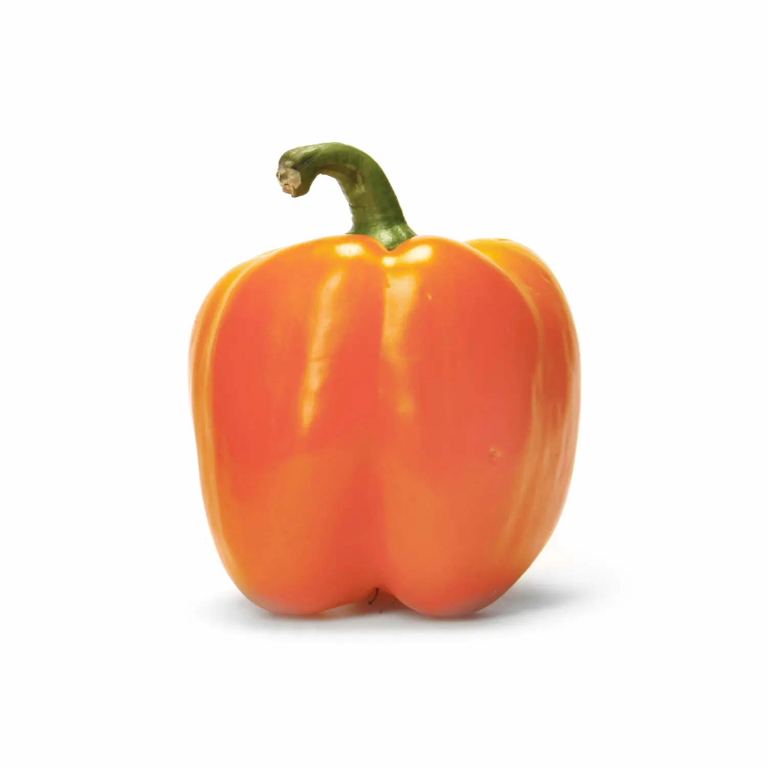 Organic Orange Bell Pepper