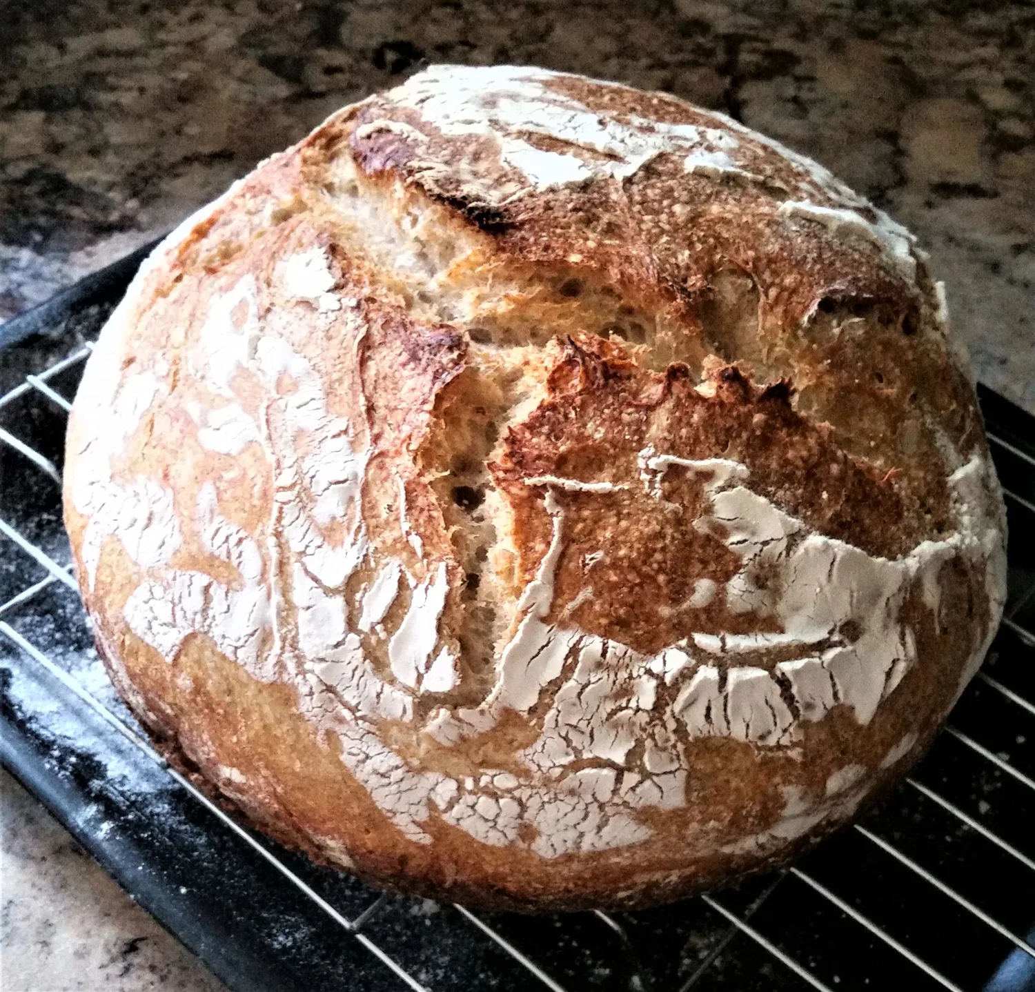 Traditional 100% Rye Sourdough Starter - - Dehydrated, Dried Sourdough Starter for Baking Bread- Sour Dough Starter-Sourdough Bread Starter- Best Customer Service, Contact for any Questions