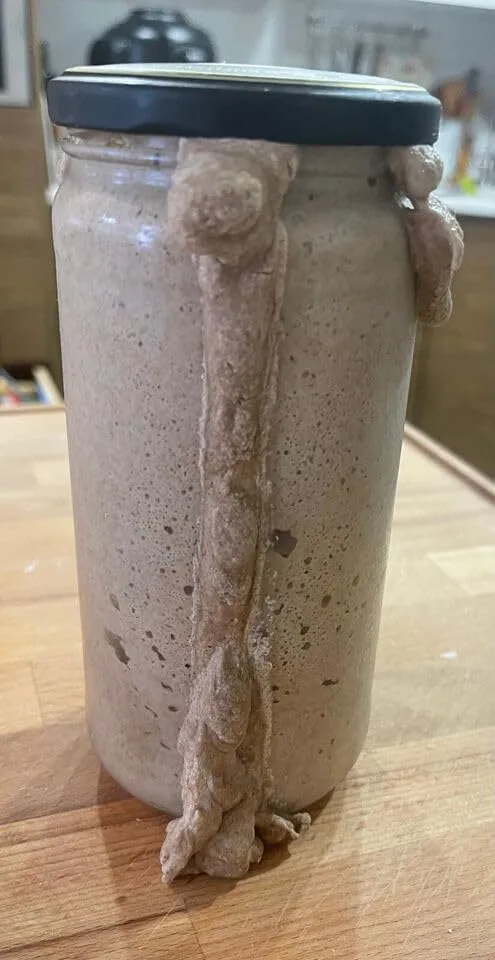 Rye Sourdough Starter Culture, Active Fermented, 100% Natural