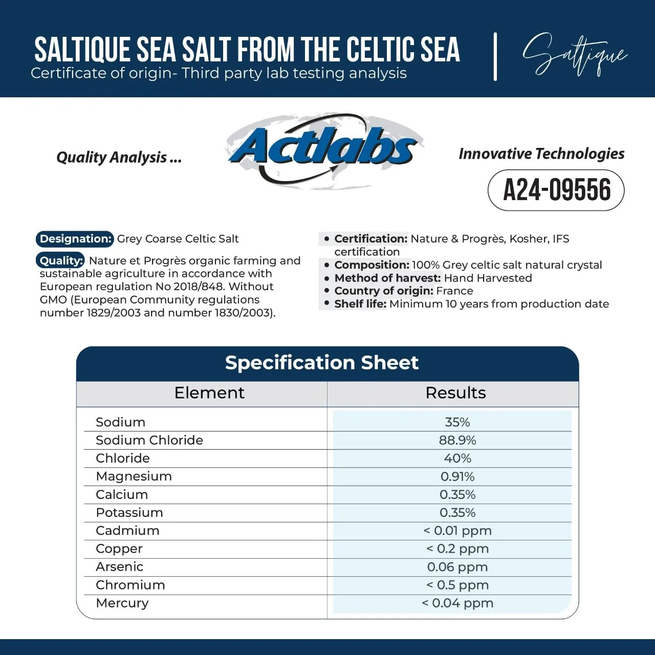 French Sea Salt Fine From the Celtic Sea 1/2lb- 100% Unrefined Sea Salt Packed with 82 Minerals Helping You Stay Hydrated, Improve Electrolyte Balance, and Optimal Muscle Function - Doctor Recommended