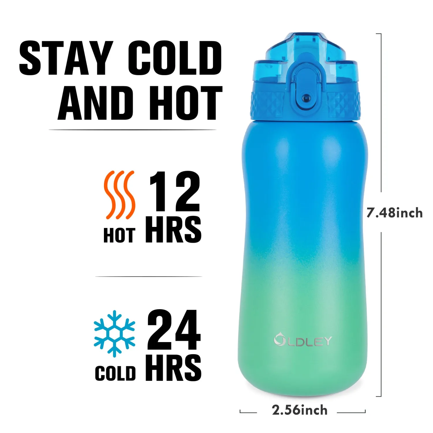 Oldley Insulated Water Bottle 12oz Water Bottles with Straw, Stainless Steel Water Bottle with 2 Lids,Double Wall Vacuum Bottel for Kids, Leak-Proof Sport Bottle for School Travel,Tropical Rainforest