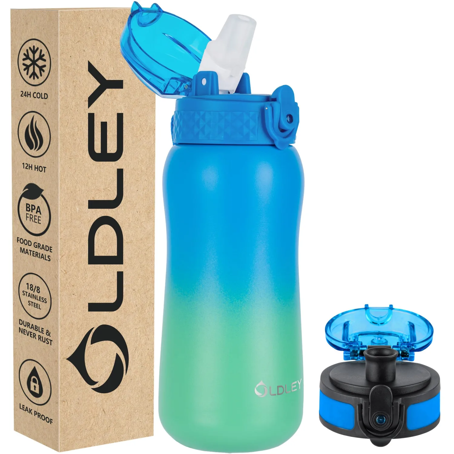 Oldley Insulated Water Bottle 12oz Water Bottles with Straw, Stainless Steel Water Bottle with 2 Lids,Double Wall Vacuum Bottel for Kids, Leak-Proof Sport Bottle for School Travel,Tropical Rainforest