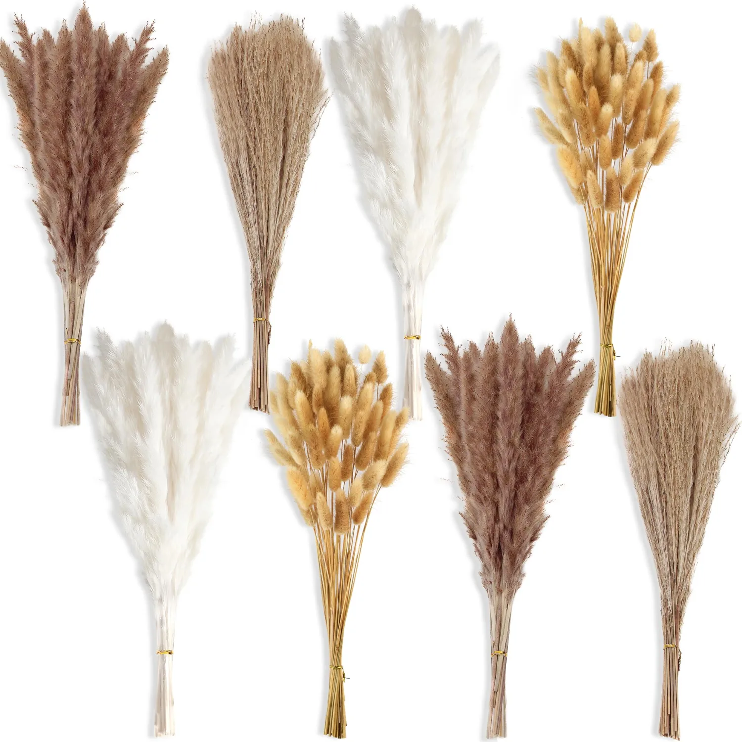 200 PCS Small Boho Pampas Grass, 17" Naturally Dried Pompas, Pampas Grass Decor for Wedding , Boho Party Decorations, Table Decor（Brown and White）