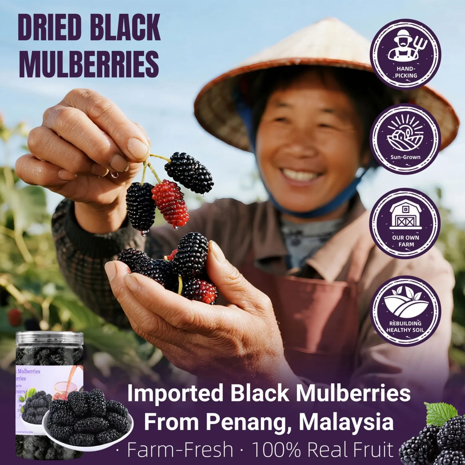 Dried Black Mulberries 245-250 per Jar,8.8oz(250g),Single-Ingredient,Mulberries No Sugar Added,No Additives,Superfood Mulberry Snack for Smoothies,Baking & Yogurt