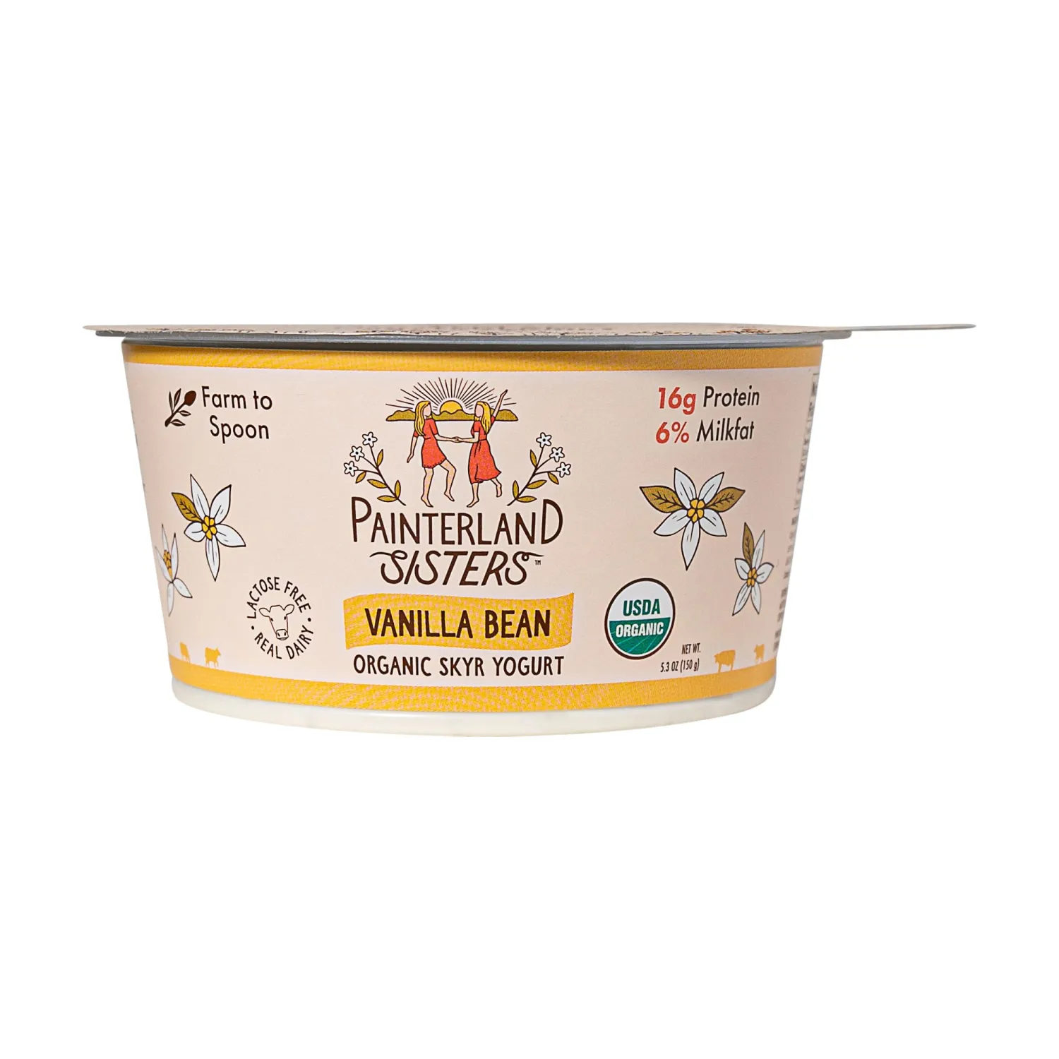 Painterland Sisters Organic Vanilla Bean Skyr Yogurt, 5.3 OZ