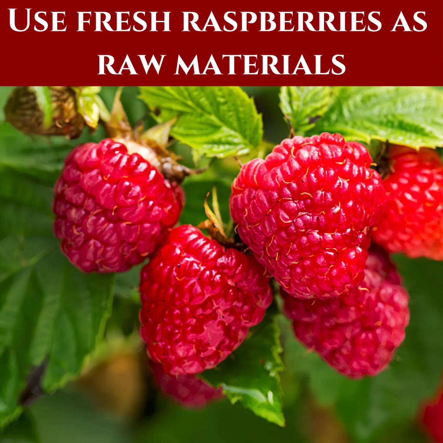 Premium Freeze-Dried Raspberry Crumbles | 100g/3.5oz Resealable Jar | No Sugar Added | Baking Mix-Ins, Yogurt & Smoothie Topping | Slow Freeze-Dried from Whole Fresh Red Berries | Fruit Snacks